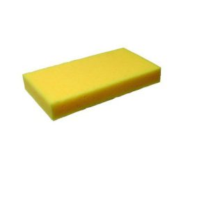 fugázó pótszivacs tengeri